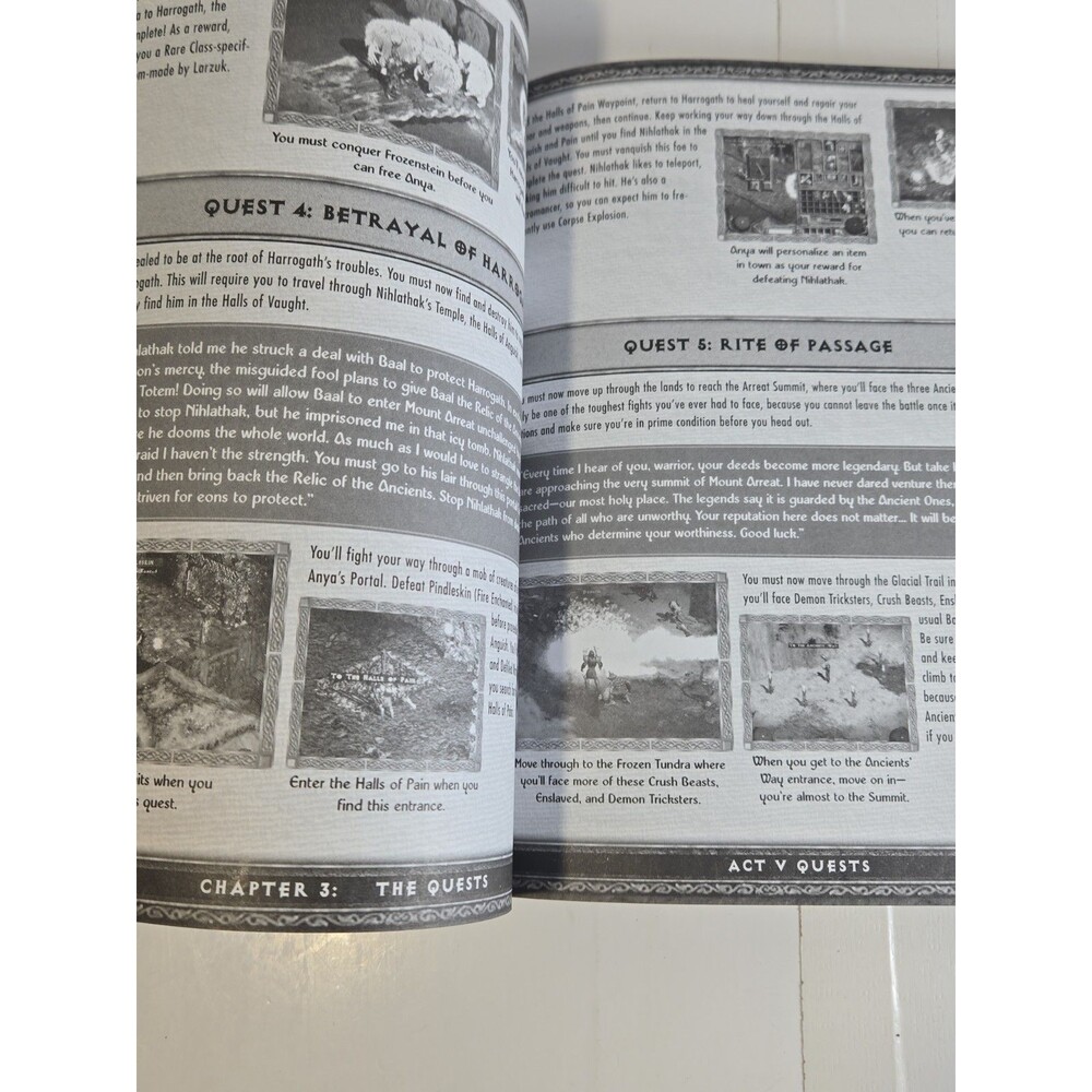 Diablo 2 Ultimate Strategy Guide - Picture 7 of 7